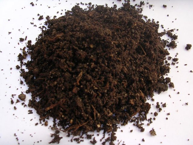 Biohumus_humus_vermi_compost_.jpg, 125 KB